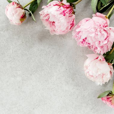 Gri taş masanın üzerinde güzel pembe şakayık çiçekleri ve metin için fotokopi alanı. Düz stil, üst görünüm