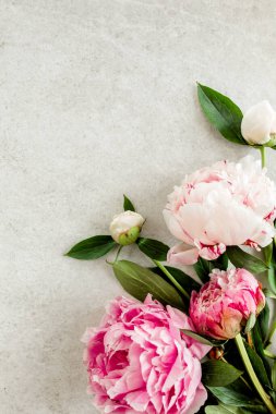 Gri taş masanın üzerinde güzel pembe şakayık çiçekleri ve metin için fotokopi alanı. Düz stil, üst görünüm