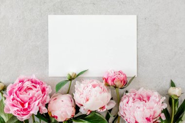 Sahte davetiye, boş kağıt tebrik kartı ve gri taş masadaki şakayıklar. Çiçek arkaplanı. Düz yatış, üst görünüm.