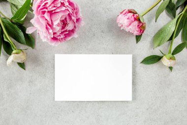 Sahte davetiye, boş kağıt tebrik kartı ve gri taş masadaki şakayıklar. Çiçek arkaplanı. Düz yatış, üst görünüm.