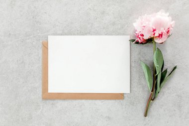 Sahte davetiye, boş kağıt tebrik kartı ve gri taş masadaki şakayıklar. Çiçek arkaplanı. Düz yatış, üst görünüm.