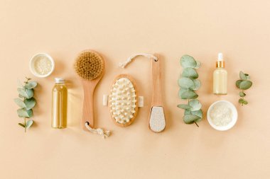 Spa tedavisi konsepti. Doğal, organik kaplıca ürünleri okaliptüs yağı, deniz tuzu, masaj fırçası, okaliptüs yaprağı özü. Spa arkaplanı