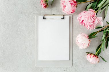 Sahte davetiye, boş kağıt tebrik kartı ve gri taş masadaki şakayıklar. Çiçek arkaplanı. Düz yatış, üst görünüm.