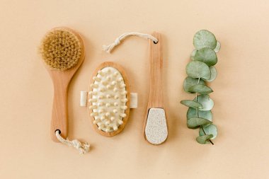 Spa tedavisi konsepti. Doğal, organik kaplıca ürünleri okaliptüs yağı, deniz tuzu, masaj fırçası, okaliptüs yaprağı özü. Spa arkaplanı