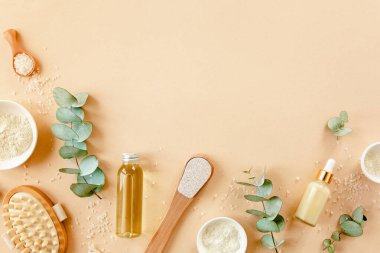 Spa tedavisi konsepti. Doğal, organik kaplıca ürünleri okaliptüs yağı, deniz tuzu, masaj fırçası, okaliptüs yaprağı özü. Spa arkaplanı