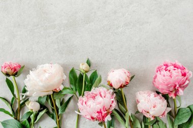 Gri taş masanın üzerinde güzel pembe şakayık çiçekleri ve metin için fotokopi alanı. Düz stil, üst görünüm