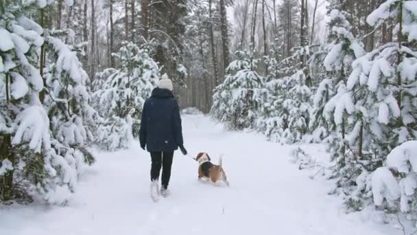 ビーグル犬を連れた少女は雪深い冬の森を歩いている。屋外歩行。マンの親友。スローモーション — ストック動画