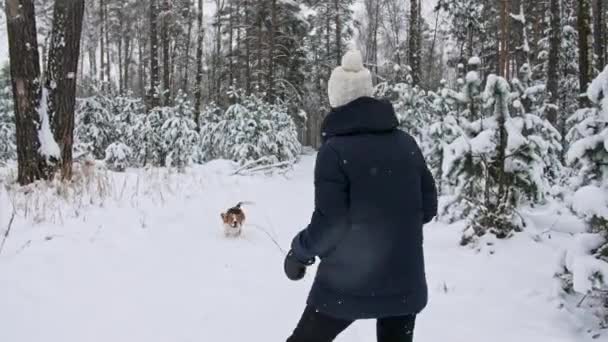 Chica joven con su perro beagle son paseos a través de un bosque de invierno nevado. Caminar al aire libre. El mejor amigo de los hombres. Movimiento lento — Vídeos de Stock