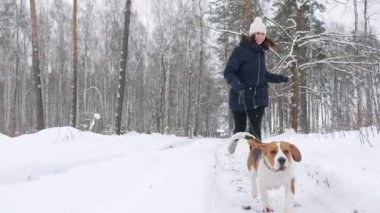 Mutlu av köpeği, karlı kış ormanlarında yürürken kadın sahibiyle koşuyor. Açık hava yürüyüşü. İnsan ve köpek arasındaki güçlü dostluk. Yavaş çekim