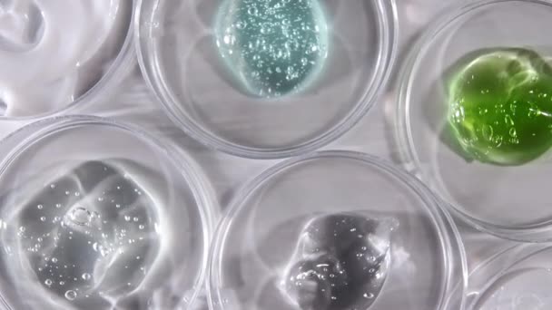 Petri mosogatás gél folyadék Különböző baktériumok, szövetek. A gyógyszerészeti kutatás koncepciója. Mikrobiológiai Laboratórium. Lassú mozgás. — Stock videók