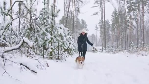 Happy beagle dog está correndo com sua dona durante o passeio na floresta de inverno nevado. Caminhada exterior. Amizade forte entre o homem e o cão. Movimento lento — Vídeo de Stock