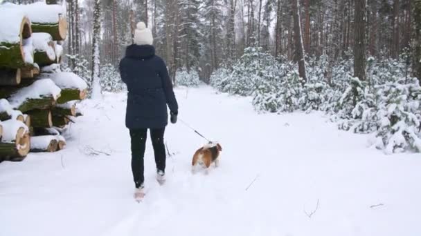 Chica joven con su perro beagle son paseos a través de un bosque de invierno nevado. Caminar al aire libre. El mejor amigo de los hombres. Movimiento lento — Vídeos de Stock