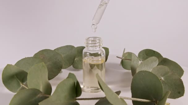 Pipetta con olio di eucalipto con foglie su fondo bianco. Estratto di eucalipto, olio essenziale aromatico. Cosmetici naturali per capelli e cura della pelle. Vista dall'alto. — Video Stock