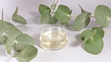 Beyaz arka planda yaprakları olan okaliptüs yağlı bir Pipette. Okaliptüs özü, aromatik gerekli yağ. Saç ve cilt bakımı için doğal kozmetik ürünleri. Üst görünüm.