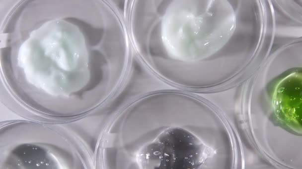 Petri блюда с гелевой жидкостью различных бактерий, ткань. Концепция фармацевтических исследований. Лаборатория микробиологии. Медленное движение — стоковое видео