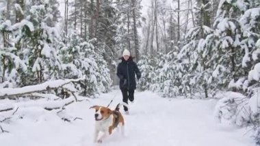 Mutlu av köpeği, karlı kış ormanlarında yürürken kadın sahibiyle koşuyor. Açık hava yürüyüşü. İnsan ve köpek arasındaki güçlü dostluk. Yavaş çekim