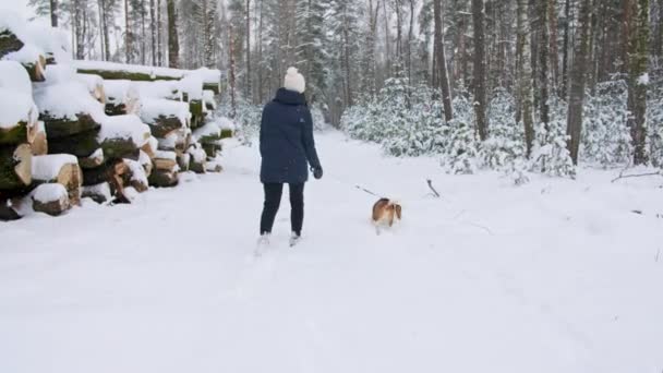 Młoda dziewczyna z psem gończym spaceruje po śnieżnym lesie zimowym. Na świeżym powietrzu. Najlepszy przyjaciel Mansa. Zwolniony ruch — Wideo stockowe