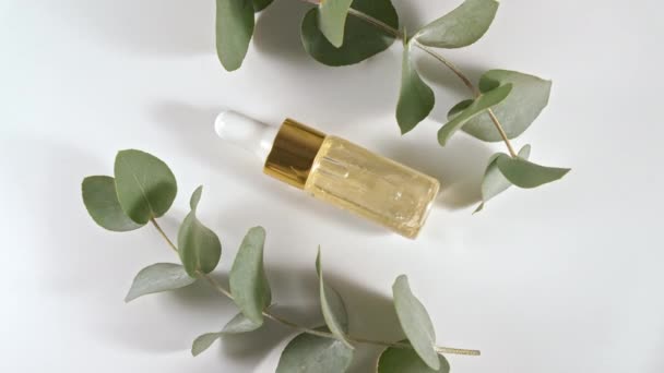 Olio di eucalipto con foglie su fondo bianco. Estratto di eucalipto, olio essenziale aromatico. Cosmetici naturali per capelli e cura della pelle. Vista dall'alto. — Video Stock