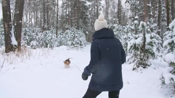 Cão beagle feliz brincando com sua dona durante o passeio na floresta de inverno nevado. Caminhada exterior. Amizade forte entre o homem e o cão. Movimento lento — Vídeo de Stock