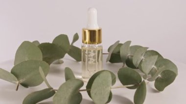 Beyaz arka planda yaprakları olan okaliptüs yağı. Okaliptüs özü, aromatik gerekli yağ. Saç ve cilt bakımı için doğal kozmetik ürünleri.