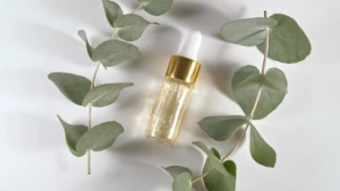 Beyaz arka planda yaprakları olan okaliptüs yağı. Okaliptüs özü, aromatik gerekli yağ. Saç ve cilt bakımı için doğal kozmetik ürünleri. Üst görünüm.