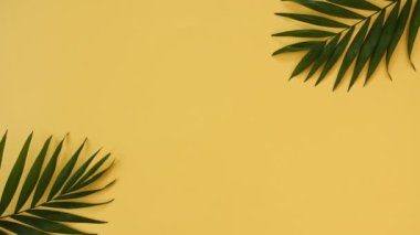 Beyaz Renkli Oyuncak Uçak ve Palmiye Yaprakları 'nın modeli. Yolcu Uçak Uçuyor, Hareketler. Hava Taşımacılığı, Turizm, Tatil, Seyahat. Üst Görünüm 