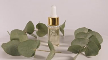 Beyaz arka planda yaprakları olan okaliptüs yağı. Okaliptüs özü, aromatik gerekli yağ. Saç ve cilt bakımı için doğal kozmetik ürünleri.