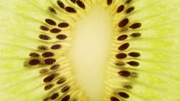 Makroaufnahme einer transparenten Scheibe Kiwi-Frucht und rotieren. Nahaufnahme Frische Kiwi. Gesunde Ernährung Hintergrund. Zeitlupe. — Stockvideo