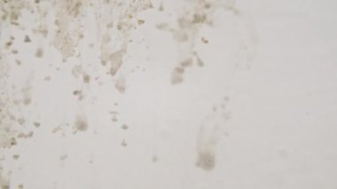 Clay Powder 'dan yapılmış Macro Partikül Çekimi, Beyaz Arkaplan' da Sudaki Kozmetik Doku. Ağır çekim. Kahverengi çikolatalı protein tozu. Doğal Kozmetik Üretimi.