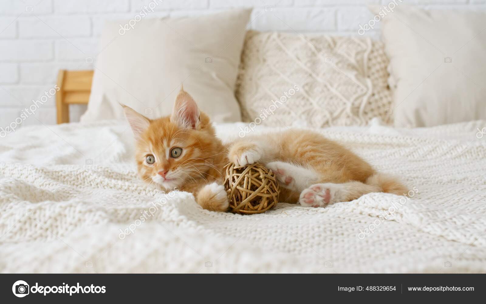 Маленький Красный Котенок Играет С Мячом. Кот, Играющий На Кровати.