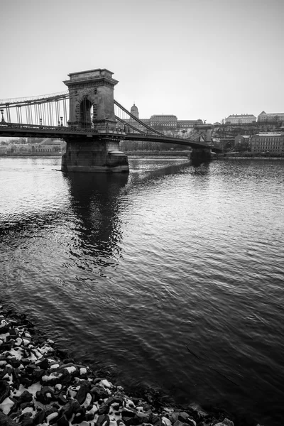 Brug mono portret — Stockfoto