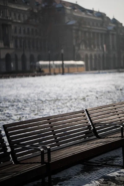 Budapest bench portrait — Stock Photo, Image