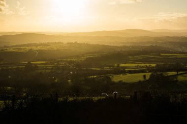 Dartmoor günbatımı ağaçlar