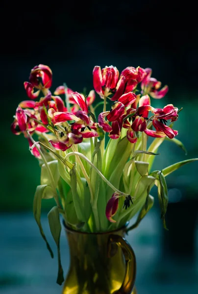 Bahçe Vazoda Çiçekler