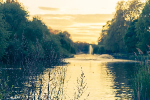 Çiçek Çeşmesi vintage