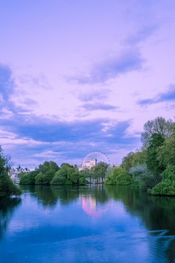 Nehir tekerlek portre mor