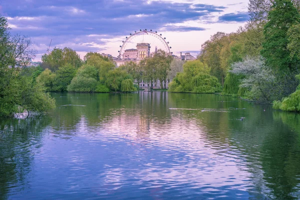 Nehir ördek ve tekerlek