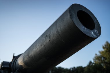 Elevated barrel Barca