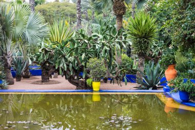 Marrakech gardens