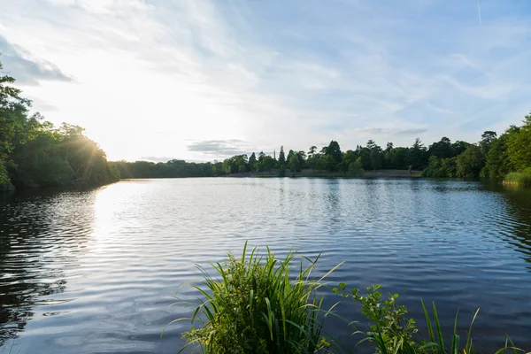 Virginia mavi ripples