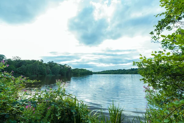 Virginia mor çiçek Gölü