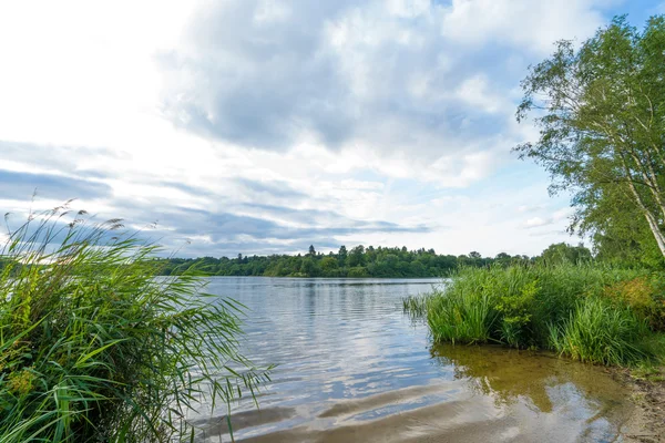 Virginia sazlık ve çamur