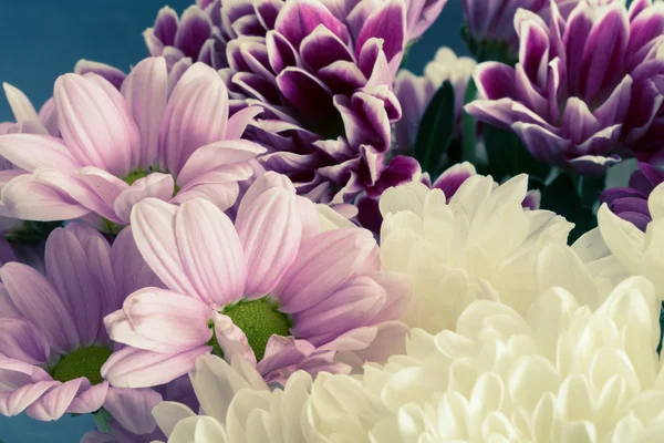 Datierte Blumen — Stockfoto