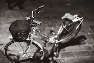 Bisiklet Floransa mono