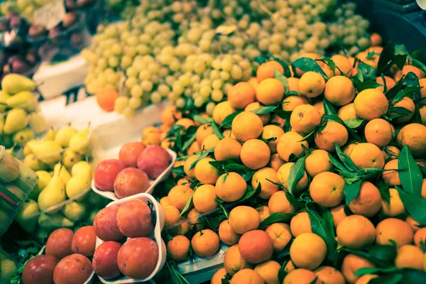 Orangen in Blüte — Stockfoto