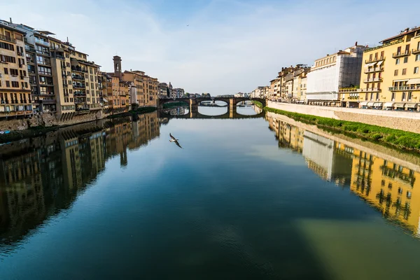 Řeka pták Florencie — Stock fotografie
