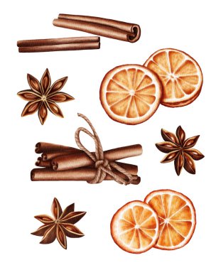 Watercolor elements of cinnamon sticks, star anise, and dried orange slices. Cozy and warm composition, perfect for Christmas and winter designs, packaging, greeting cards, and seasonal decorations.