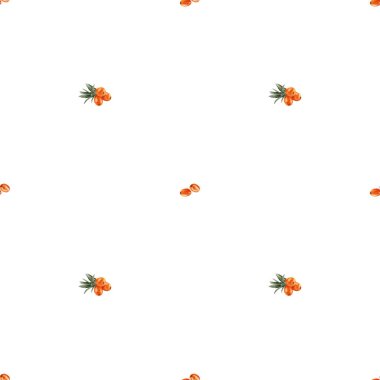 Deniz dikenli üzümlü kusursuz suluboya deseni. Paketleme, kumaşlar, kozmetik ürünler ve sonbahar grafikleri için.