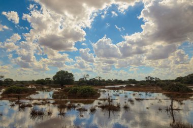 Avustralya outback uzak alan sular altında 