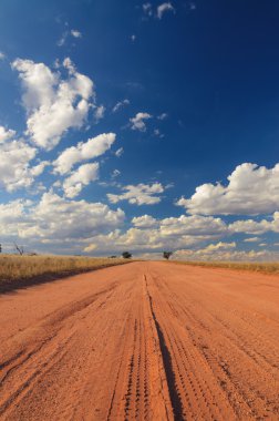 Toprak yol Austrailan kırsal taşra lastik yazdırma kırmızı toprak